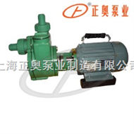 FPZ型上海品牌聚丙烯塑料自吸泵