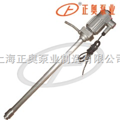 上海品牌防爆型电动油桶泵
