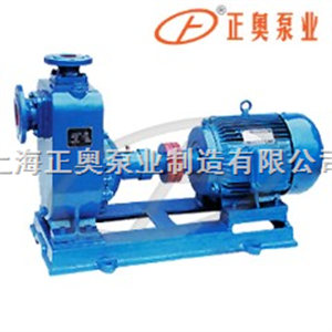 ZX型上海品牌卧式自吸泵