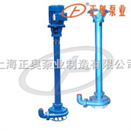 NL上海品牌系列污水泥浆泵