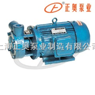 1W型上海品牌单级直联旋涡泵