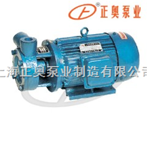 1W型上海品牌单级直联旋涡泵