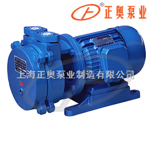 SKL型直联式水环真空泵