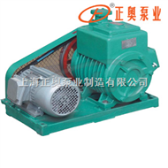 2X型卧式旋片真空泵