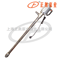 JK-3P型普通型电动油桶泵（不锈钢）