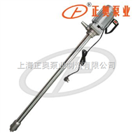 JK-3-5P型普通型电动油桶泵（不锈钢）