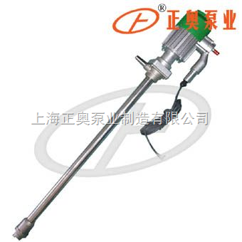 防爆型电动油桶泵（不锈钢）