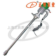 JK-3B-5P型防爆型电动油桶泵（不锈钢）