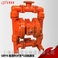 正奥泵业QBY5-25F46型流体衬氟气动隔膜泵