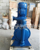 DBY-100P型304不锈钢电动隔膜泵 5.5kw配四氟膜片