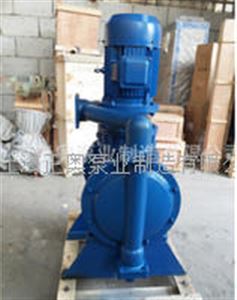 DBY-100P型304不锈钢电动隔膜泵 5.5kw配四氟膜片